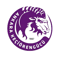 伊斯坦布尔体育